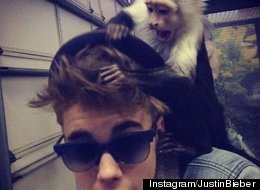 Bieber's Monkey Detained After Star 'Snuck' Him On Plane