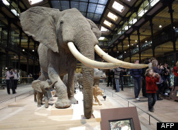 Massacre à la tronçonneuse dans un musée français