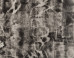 Brigitte Engler: Brigitte Engler on the ImageBlog