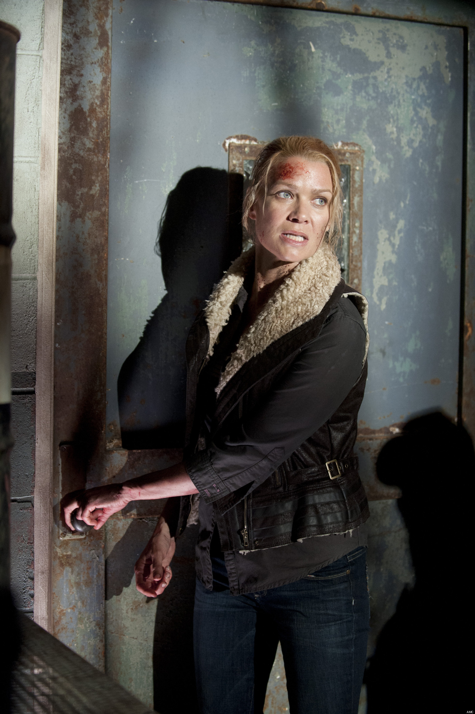 Walking Dead Andrea Walking Dead Andrea