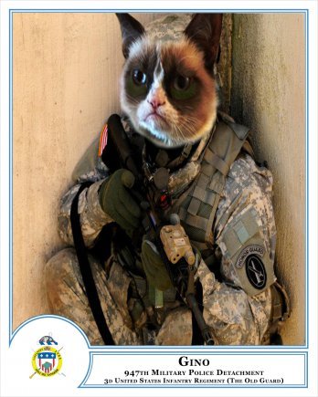 armycat