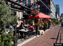 HOW MUCH Did Restaurants Lose Under HST?