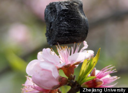 World's Lightest Material Created By Scientists Overseas