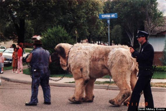 sandlot giant the beast puppet in street