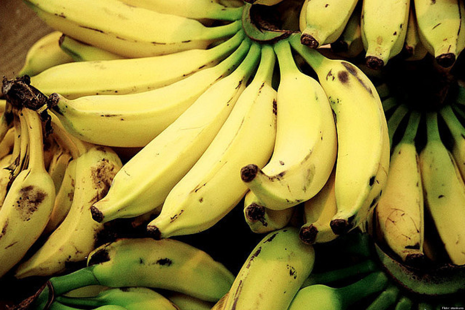 food-for-thought-the-slippery-story-of-the-banana-huffpost