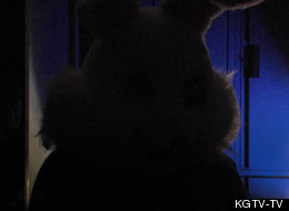 Easter Bunny Explains His Side Of Traffic Incident