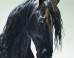 Jill_Greenberg: Jill Greenberg on the ImageBlog