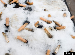 Better Use Those Ashtrays Or Prepare To Pay Large, Edmonton