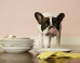 How to Fix the Top 5 Household Annoyances