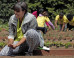 How FLOTUS Is Getting Ready For Spring