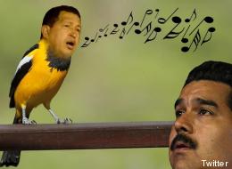 23 chistes y memes del pajarito de Maduro