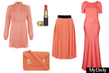 Colour Crush: Corals