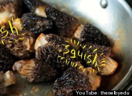 WATCH: A Woodsy Morel Mushroom Cookout