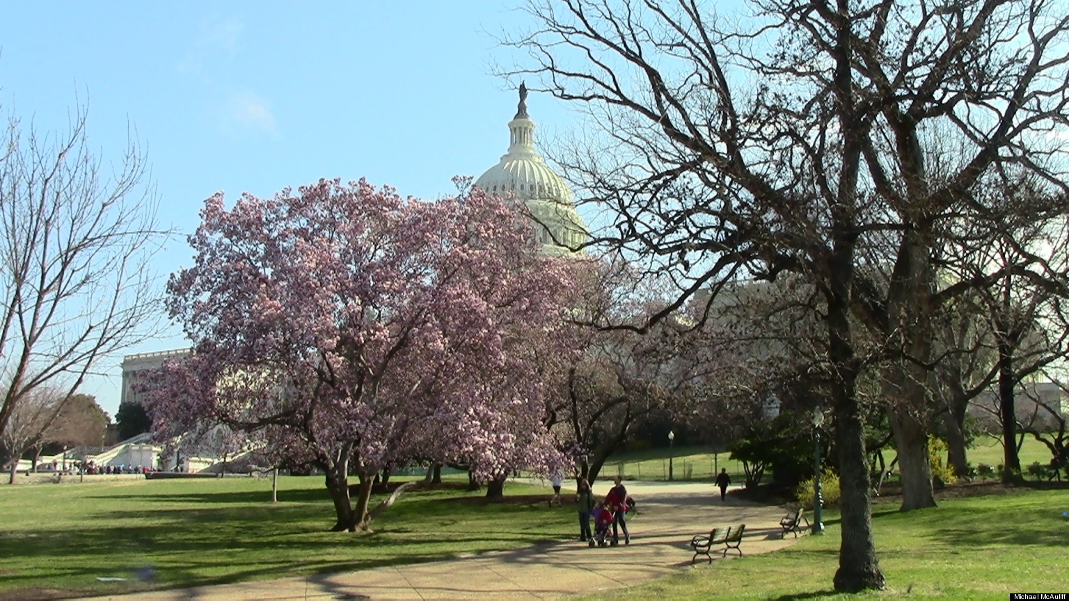 Progressives Slam Obama Social Security Cut Plan, Threaten Primaries