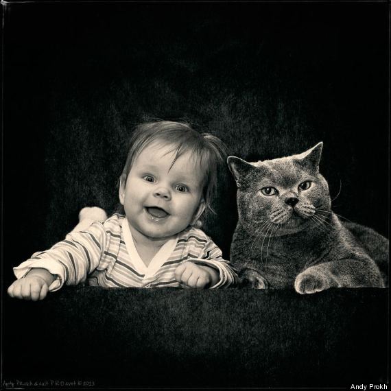 andy prokh uma menina e seu gato