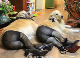 La nouvelle (horrible) mode chinoise (PHOTOS)