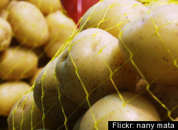 Savoring Spuds: Flashy Recipes for the Humble Tuber