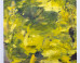 Annie Lapin: Annie Lapin on the ImageBlog