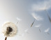 Carolyn Gregoire: Overwhelmed?
