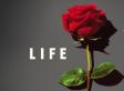 LIFE AFTER LIFE By Kate Atkinson