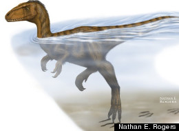 Dinosaurs Did A Mean Doggy Paddle