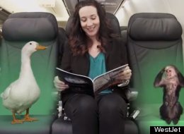 WATCH: How WestJet Got A Monkey On The Plane