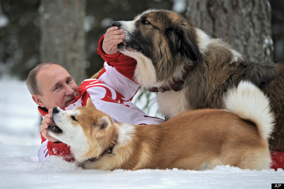 o-VLADIMIR-PUTIN-DOGS-570.jpg?6