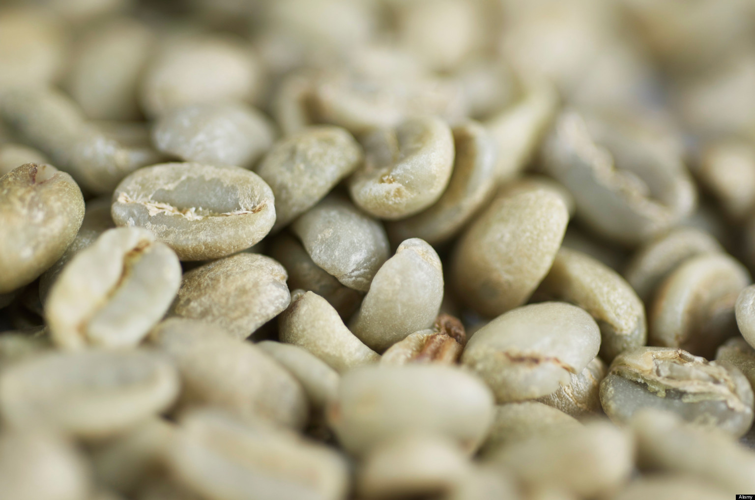 o GREEN COFFEE SUPPLEMENTS