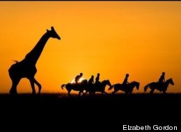 WARNING: Safaris Are Highly Addictive! A Primer for the Adventure of a Lifetime (PHOTOS)