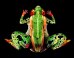 body-painting