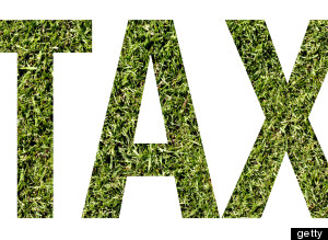 taxes