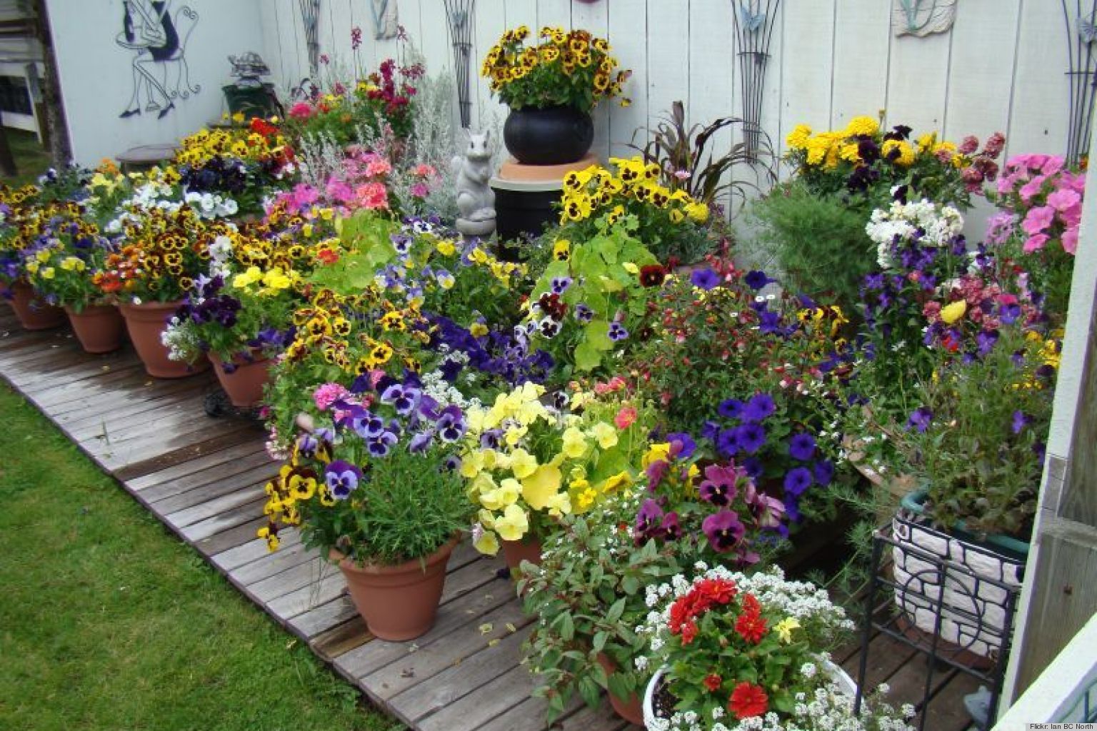 10 Pretty Container Gardens That Are Perfect For Any Home Photos