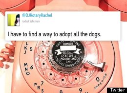 The Funniest Tweets From Women This Week