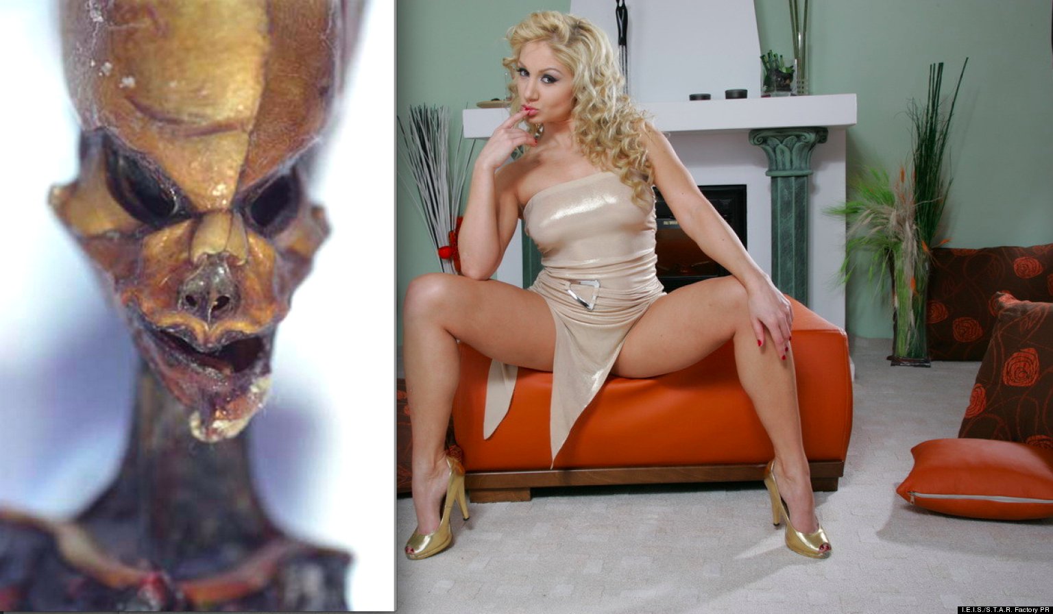 6Inch Space Alien Vs Vatican City Porn Downloads The Weird News Top 10