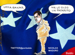 Un pajarito