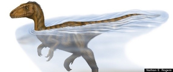 dinosaur that can walk swim and fly