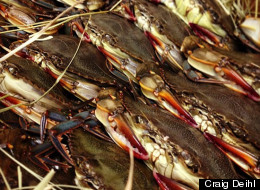 HuffPost Tastemakers: Soft-Shell Crabs Are Finally In