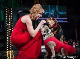LOOK: Puppies, Models And Members Of Congress