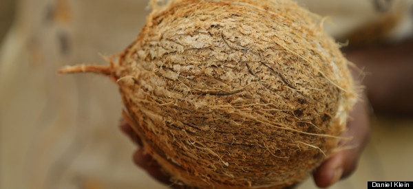 Coconut: Nose to Tail