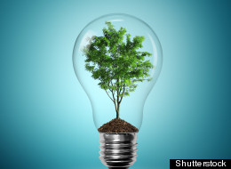 The Eco-Impact Of Your Everyday Choices