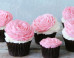 cake-recipes