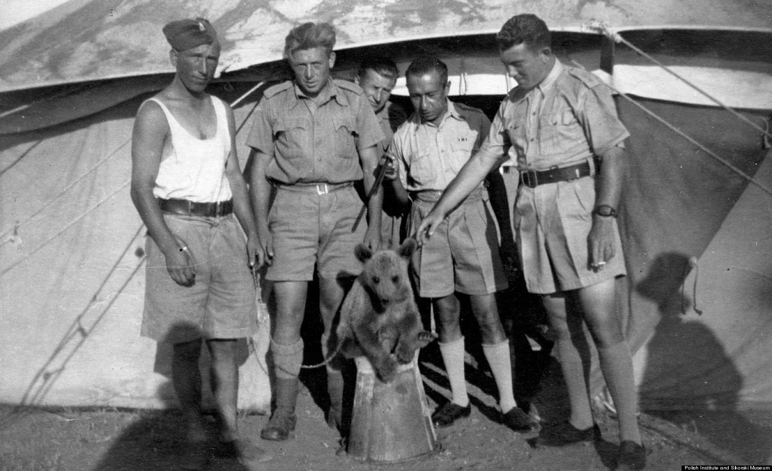 o-WOTJEK-SOLDIER-BEAR-facebook.jpg