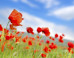 Natasha Koifman: Don't Follow a List! Must-Haves for Spring Are All About You