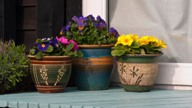 flower pots