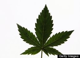 High Times Holds 'Cannabis Cup' In U.S. For 1st Time On 4/20