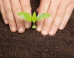 Permaculture Action Course With Lucidity Festival 2015