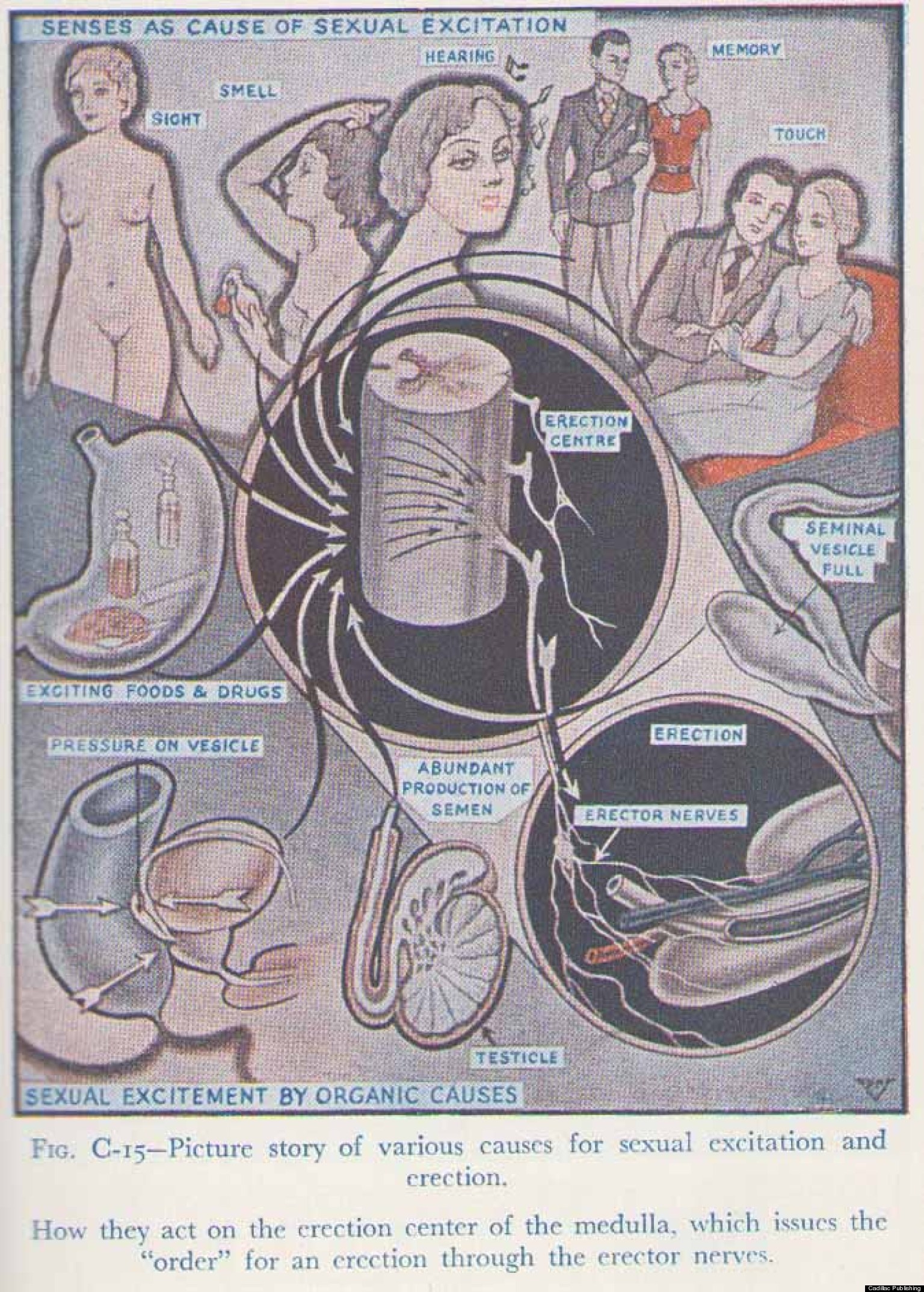 Sex Encylopedia 109