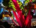 WATCH: This Family's Community Garden Is Amazing