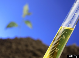 Michele Simon: How Grassroots Advocates Beat the Biotech and Food Lobbies