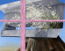 Lisa Adams: Lisa Adams on the ImageBlog